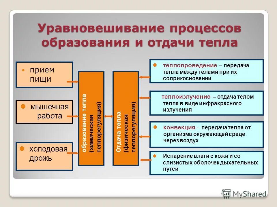 Терморегуляция организма человека осуществляется. Теплообмен излучением. Тепло прием. Тепло прием. Тепло прием.