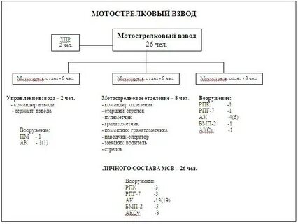Отделение мотострелкового взвода состоит из