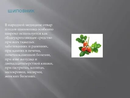 Слово шиповник