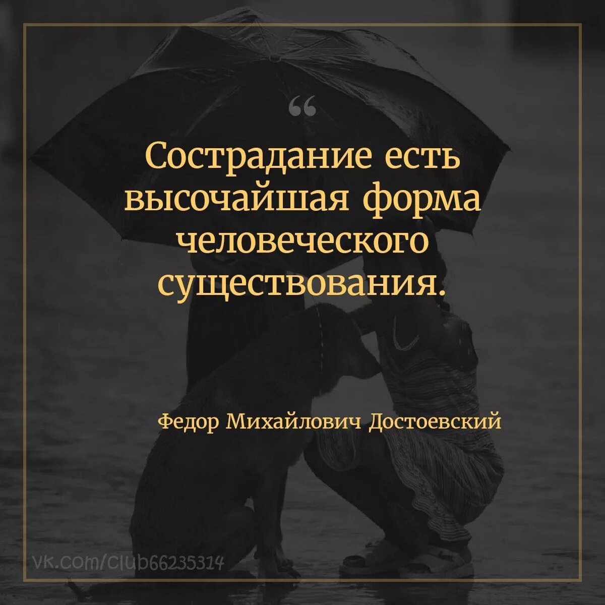 Чтобы проявить милосердие надо освободить свою. Афоризмы и цитаты. Сострадание есть высочайшая форма человеческого существования. Милосердие цитаты. Афоризмы про сострадание.