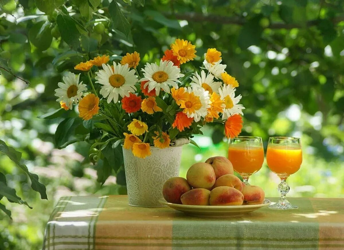 Новый день августа. Доброе летнее солнечное утро. Солнечный цветок. Утро лето цветы. Солнечного летнего утра и доброго дня.