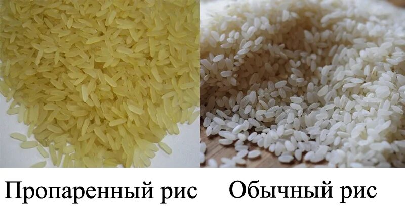 Сколько варится пропаренный. Рис длиннозерный непропаренный. Рис длиннозерный шлифованный пропаренный. Рис шлифованный пропаренный для плова. Рис белый рассыпчатый длиннозерный.