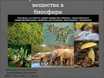 Какую роль выполняет биосфера