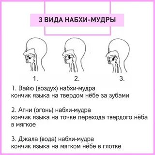 Мудра языком