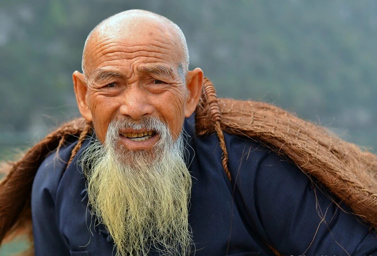 Старый китаец. Китайский мудрец. Старик китаец. Китайская борода. Old asia