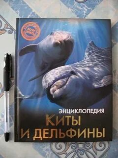 Книга киты дельфины