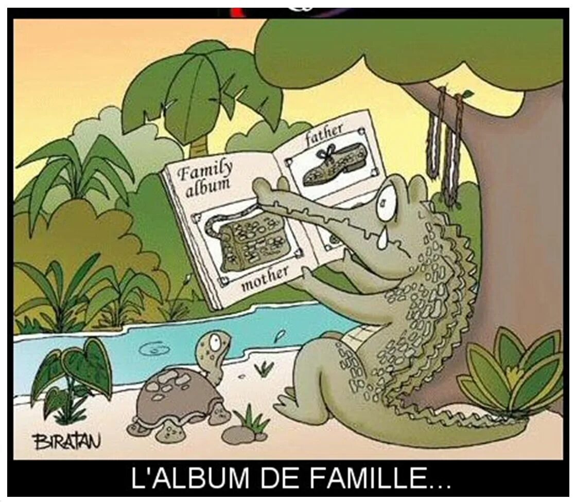 Анекдоты про чебурашку и крокодила гену. Хитрый крокодил. Карикатуры на чебурашку и крокодила гену. Папа твой в посольстве служит дипломатом крокодил. Шутки про крокодила.