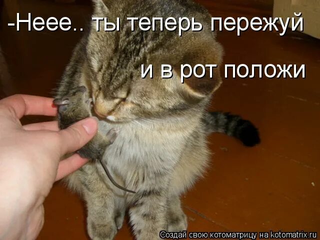 Положи мне в ротик. Рот. Анекдот про лампочку. Положи мне в ротик. Кот в сметане.