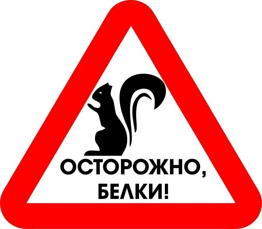 Знаки безопасности в автомобиле. Смешные знаки. Осторожно белки. Табличка осторожно. Предупреждающие таблички.