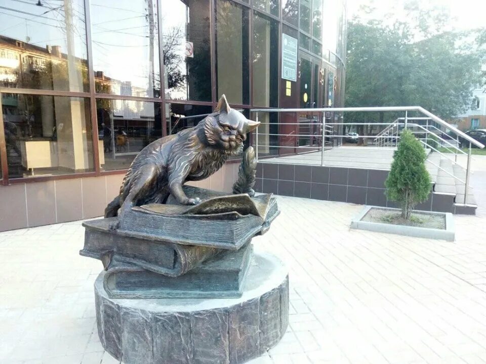 Коты тула парадиз