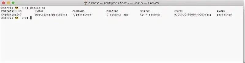 Docker run localhost. Docker run localhost