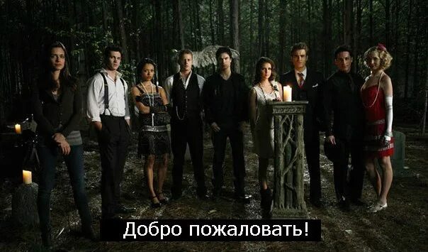 Дневники вампира древние наследие. Сверхъестественное волчонок дневники вампира. Дневники вампира в какой последовательности. Дневники наследие первородные. Первородные вампиры майклсон.