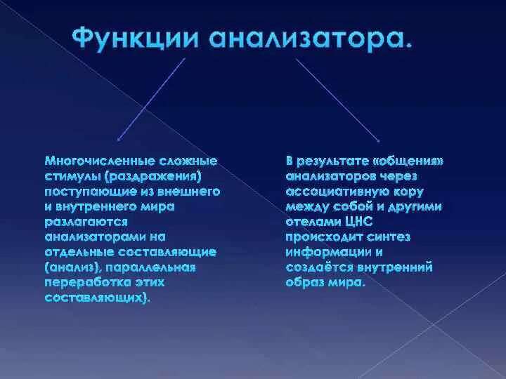 Основные функции анализаторов. Функционирование анализаторов. Три основные функции анализаторов:. Каковы функции анализаторов.