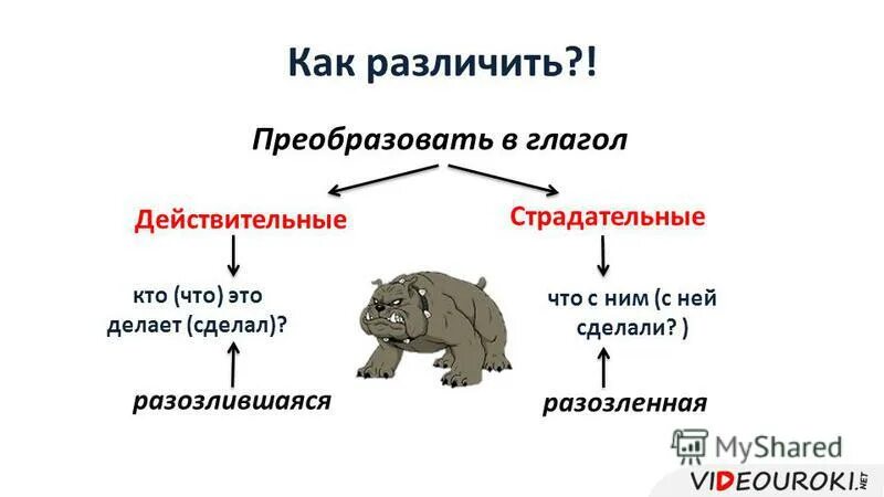 Как отличить страдательное от действительного. Преобразуйте действительную конструкцию в страдательную и наоборот.