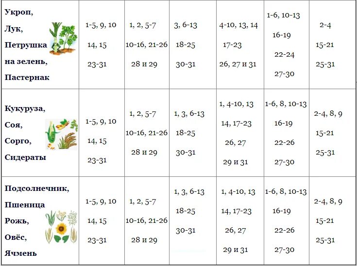 Благоприятные дни для работы с рассадой. Лунный календарь садовода и огородника. Посевной календарь садовода. Лунный календарь для посева. Лунный календарь садовода таблица.