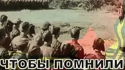 Дзен вов