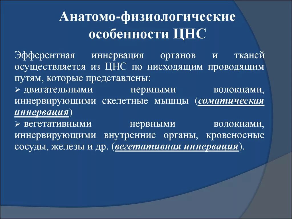 Анатомо физиологическая система. Анатомофищиологические особенности ЦНС. Анатомо физиологические особенности ЦНС. Особенности нервной системы. Анатомо-физиологические особенности нервной системы у детей.