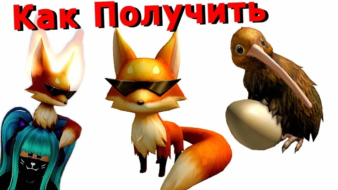 Roblox kiwi