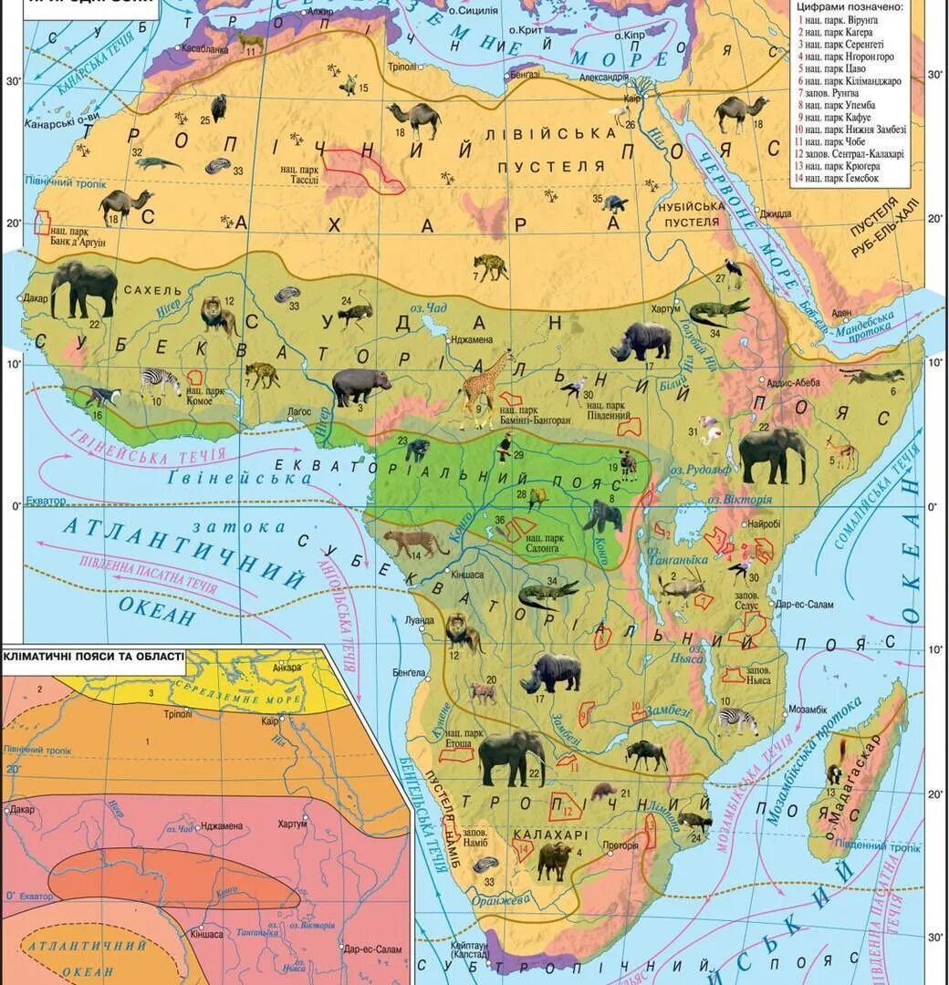 Крупные природные зоны африки. Карта природных зон Африки. Природные зоны Африки 7 атлас география. Географическая карта Африки природные зоны. Карта природных зон Африки 7 класс.