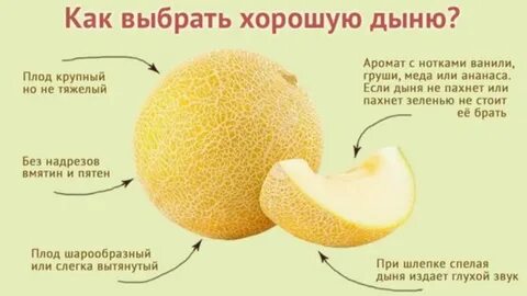 Сколько можно хранить дыню