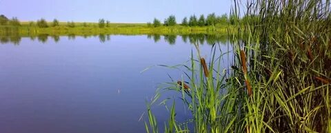 Погода хвощинка еланский волгоградская область