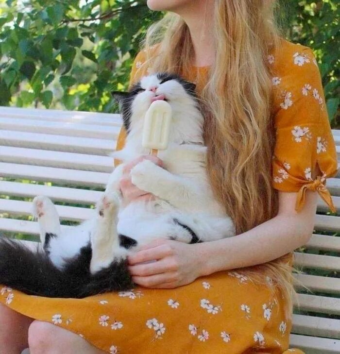 Блондинка и кот. Блондинка с котом. блондинка с котом фото. девушка блондинка с котом.