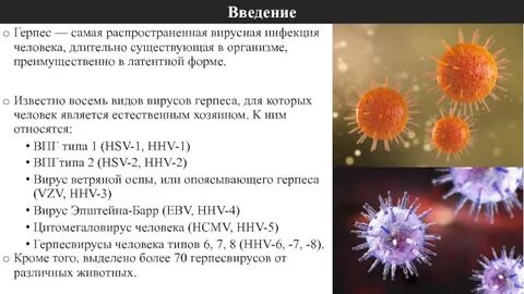 Что значит герпес 1 и 2 типа