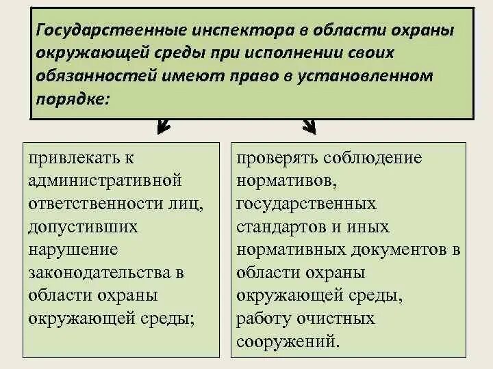 Государственный инспектор в области охраны окружающей среды. Государственные инспектора в области ООС имеют право. Обязанности в области охраны окружающей среды.