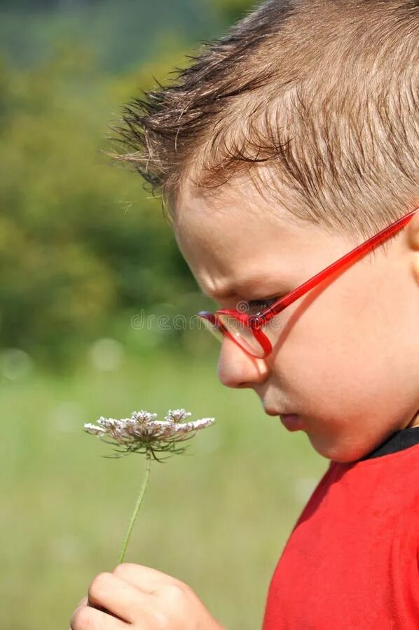 Мальчик нюхает цветок. Мальчиков вонючих мальчиков.