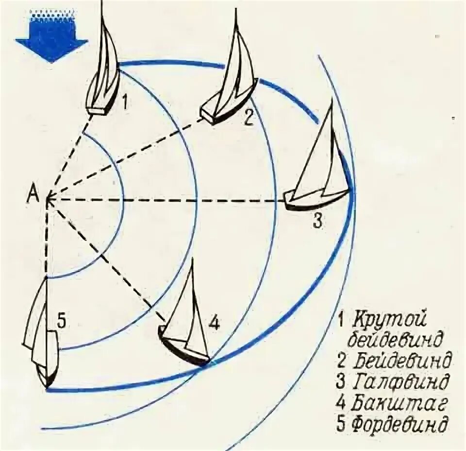 Левентик бейдевинд галфвинд Бакштаг Фордевинд. Направление ветров в парусном спорте. Курсы яхты относительно ветра. Лавировка парусного судна.