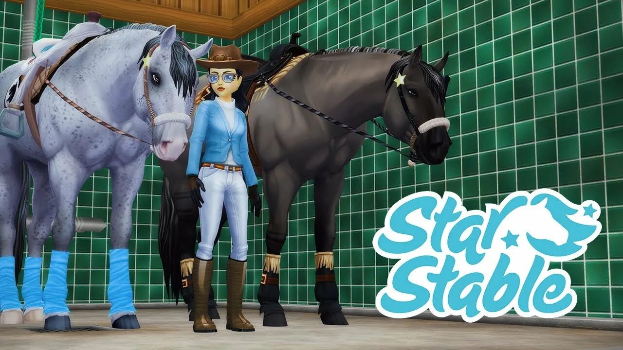 Stable animation