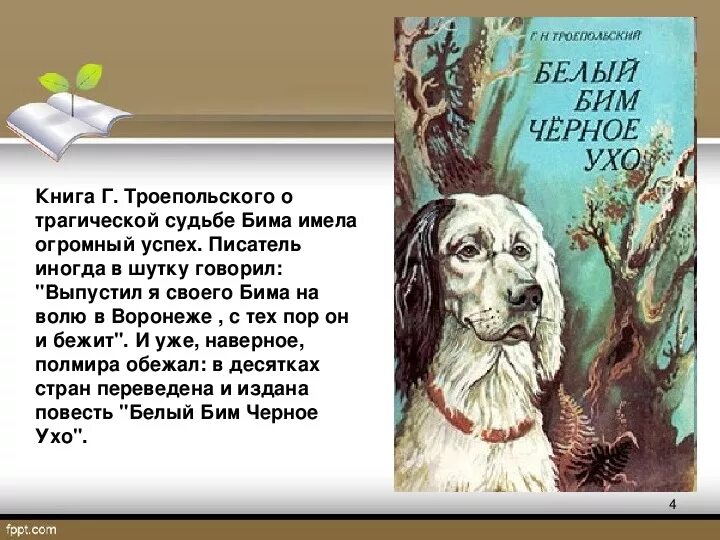 Рассказ белый бим краткое содержание. Троепольский белый бим черное ухо. г. траепольского «белый бим черное ухо». троепольский белый бим черное ухо книга.