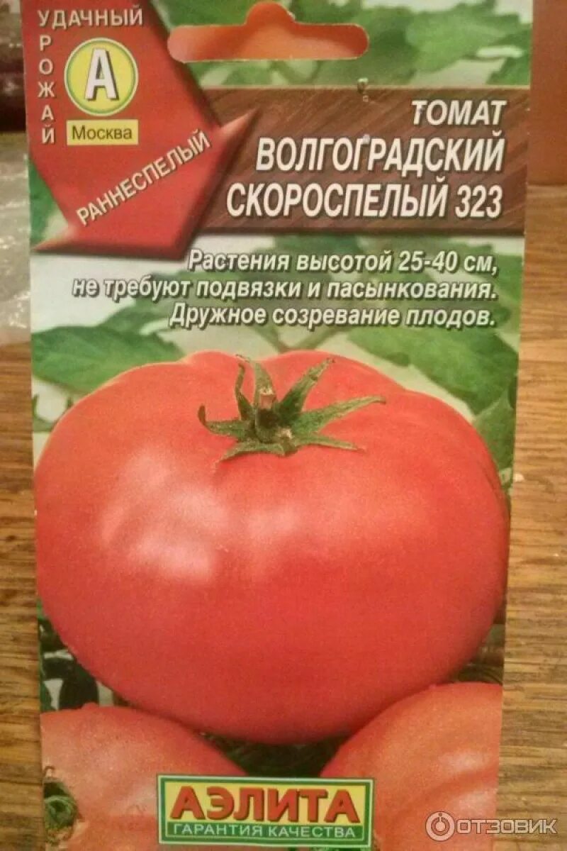 Томат Волгоградский скороспелый 323. Семена томат Волгоградский скороспелый 323. Семена томат "Волгоградский скороспелый 323" низкорослый. Волгоградский скороспелый томат 323 характеристика и описание