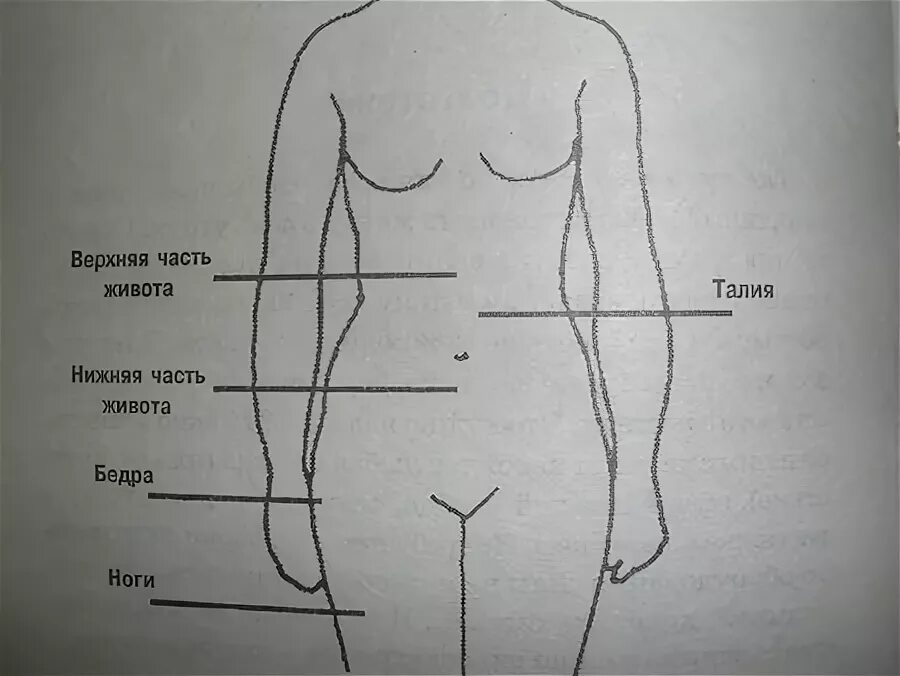 Бедро часть тела человека. Где находится бедро. Талия (часть тела). Часть тела ниже талии. Бедра это где у человека.