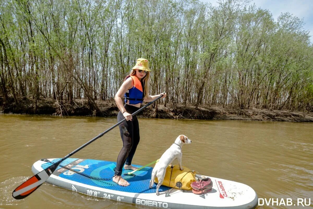 Сплав на сапе. Сапы хабаровск. Доска для катания по воде. Реке. Koetsu sup board.