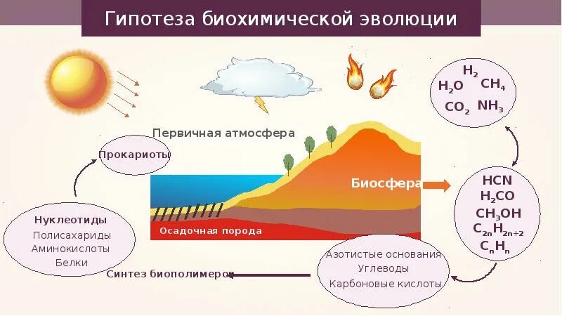 Последовательность этапов биохимической эволюции. Гипотеза возникновения жизни на земле Опарина. Опарин биохимическая Эволюция. Этапы возникновения жизни гипотезы Опарина. Биохимическая Эволюция Опарина Холдейна.