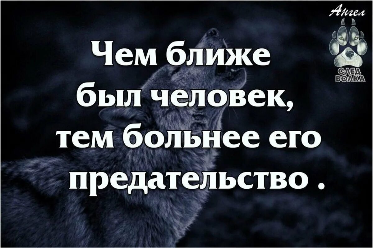 А где предательство. Фразы о предательстве близких людей. Высказывания о предательстве любимого человека. Высказывания о предательстве близких. Предают самые близкие люди цитаты.