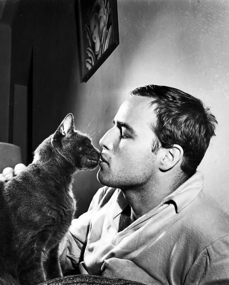 Человек і кошка. Фуркан андыч без бороды. Мужчина и его кот. Man holding cat. Мужчина и его кот.