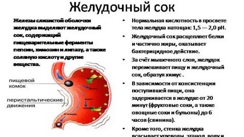 Нейтрализовать желудочный сок