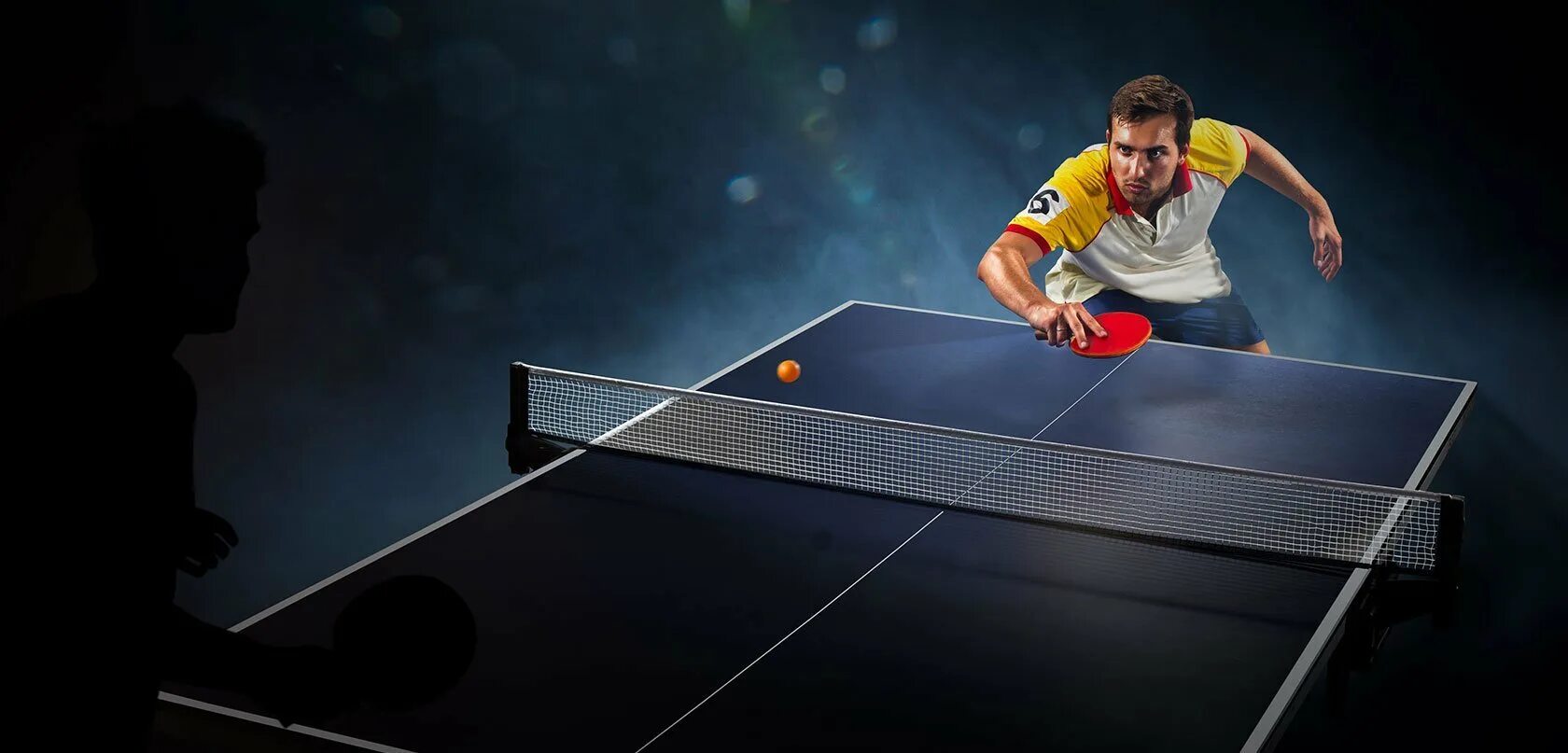 Настольный теннис (стол т1223). Ping Pong игра. Тейбл теннис. Понг фото