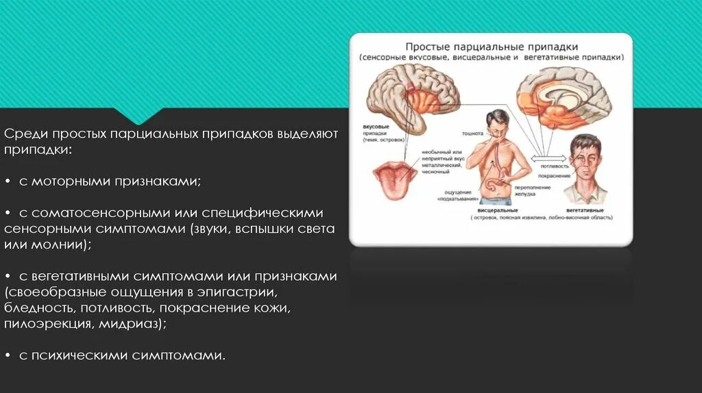 Эпилепсия передастся ребенку. Парциальные эпилептические припадки. Простые парциальные судороги. Простые парциальные припадки. Простые парциальные припадки эпилепсии.