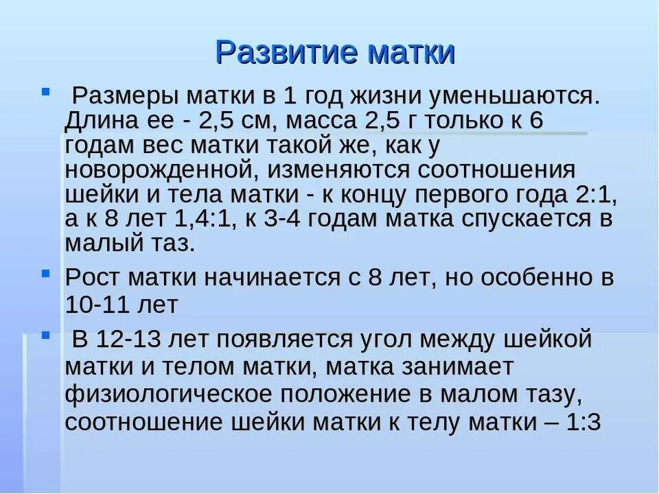 Сколько размером матка