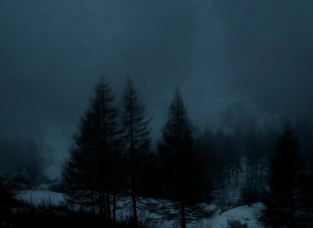 Мрачная зима. Мрачная зима. Мрак зимы. Депрессивная зима. Мрак зимы.