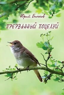 Соловушки мы делаем выбор сами текст