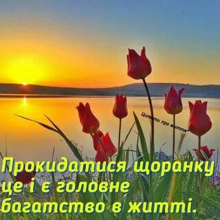 Ах этим летом ярким рассветом иду