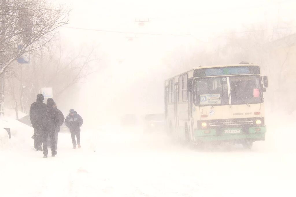 Метель голова 5. Пурга в Воркуте. Воркута метель. Воркута климат. Мемельтв аоркуте.