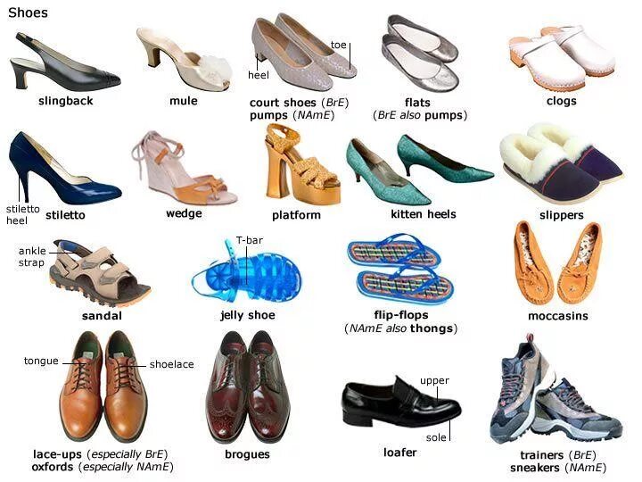 Туфли на английском языке. Название модной обуви. Название обуви на английском. Виды обуви на английском. Летняя обувь названия.