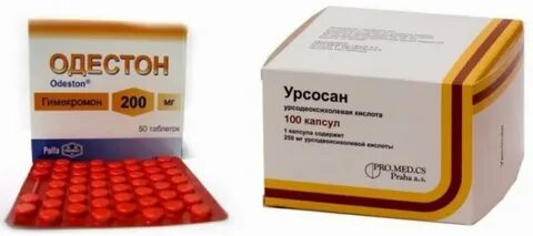 Холецистит у собак