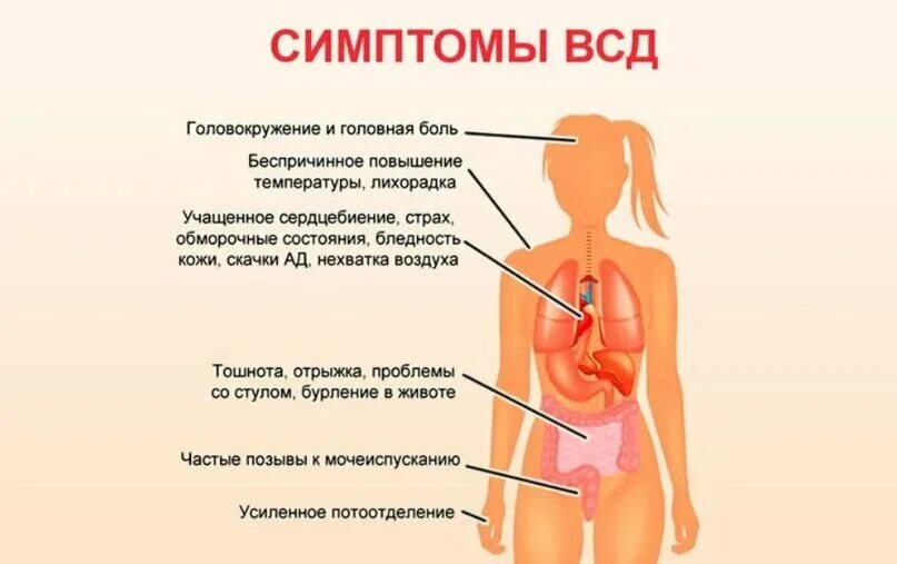 Почему ночью боль сильнее. ВСД. ВСД симптоматика. ВСТД. Симптомы сосудистой дистонии.