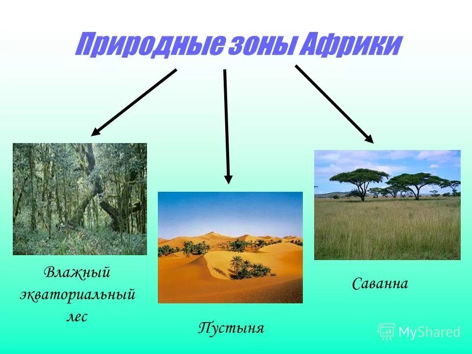 природные зоны материка африка. природные зоны центральной африки. природные зоны африки. природная зона тропического пояса африки. карта природных зон африки 7 класс.